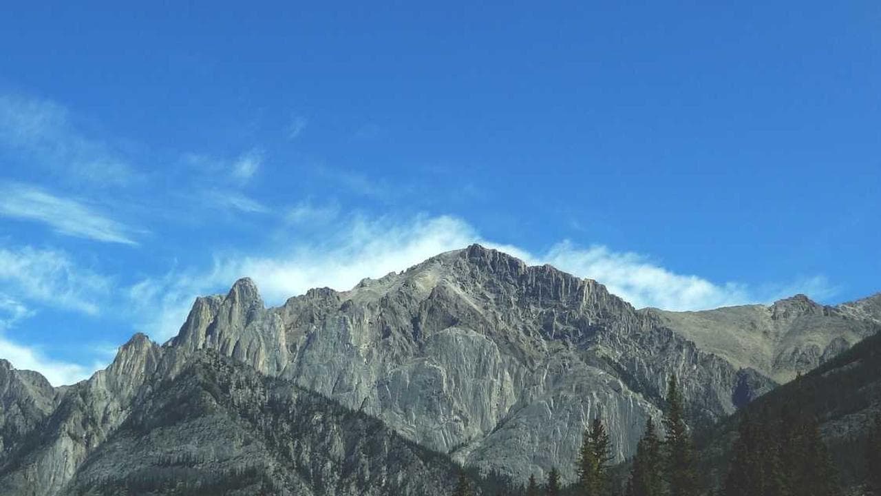 Futuristic farm with autonomous tractors and drones working together in connected fields