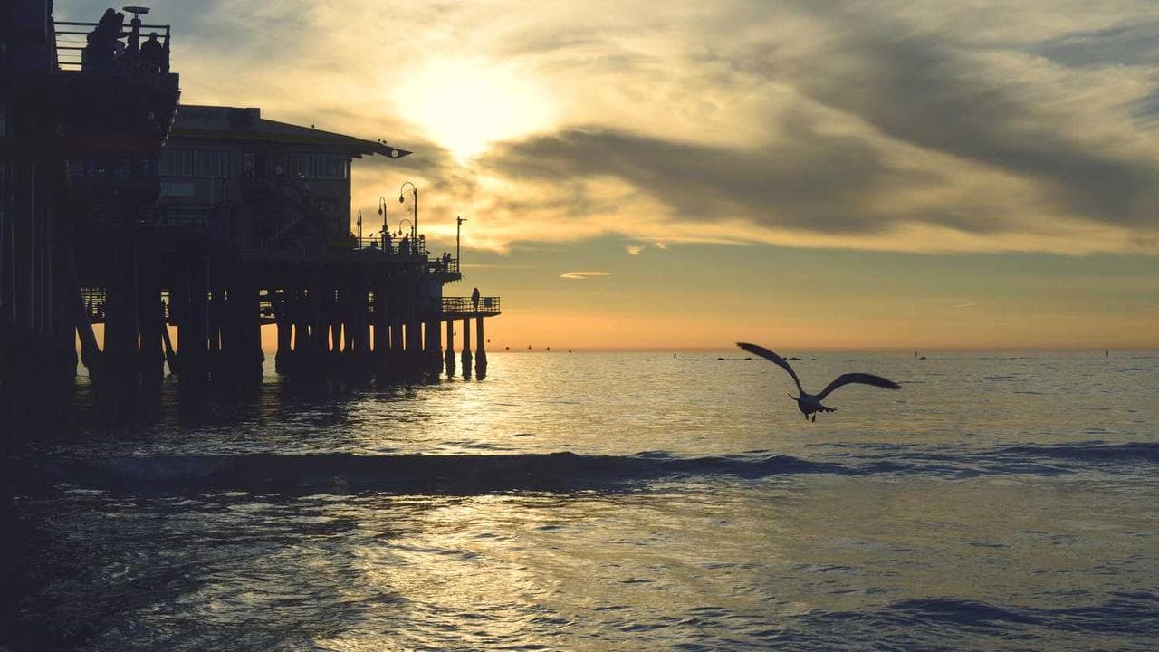 Student using AI-powered adaptive learning platform on tablet