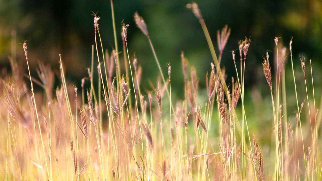 Financial analysis dashboard showing EdTech ROI metrics