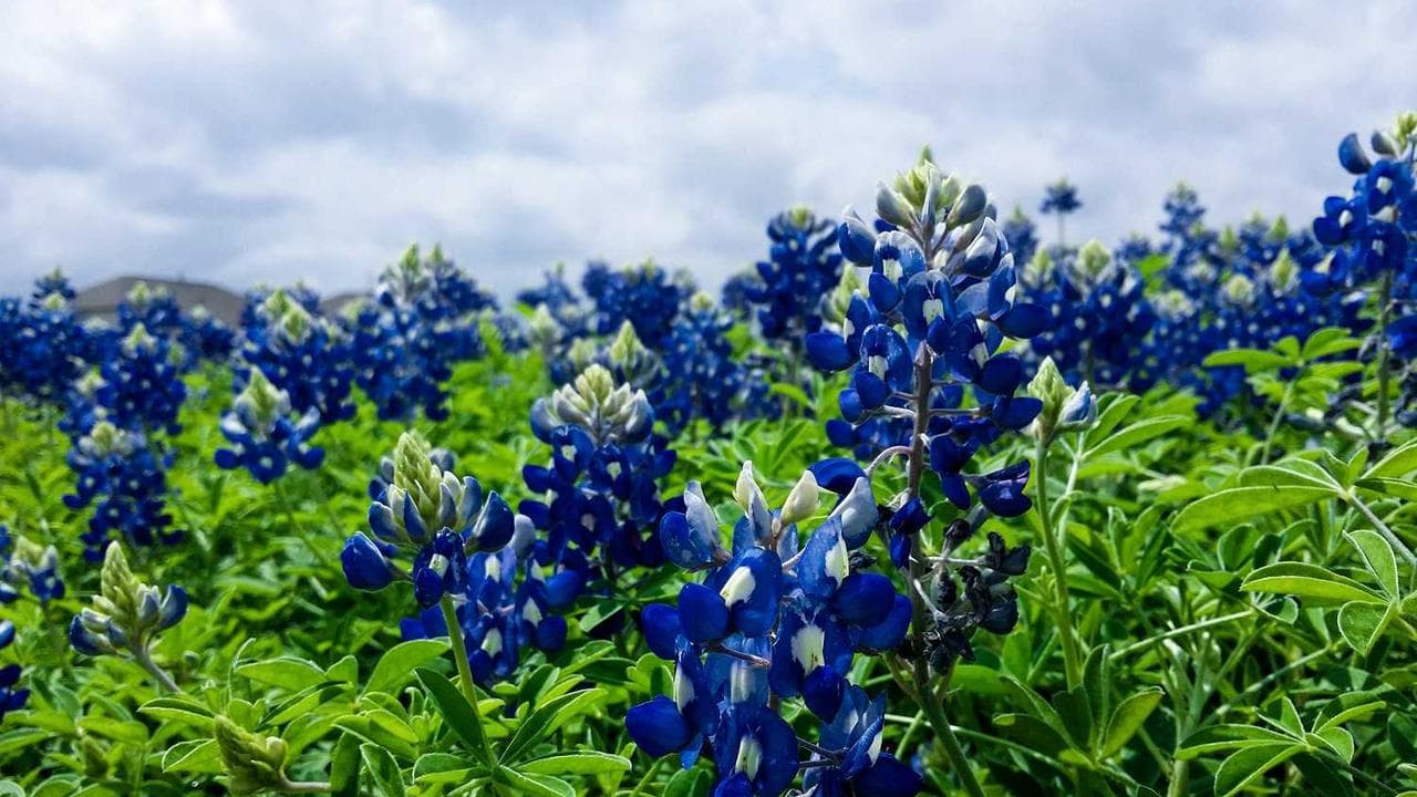 Modern university classroom with AI-powered learning technology and digital displays