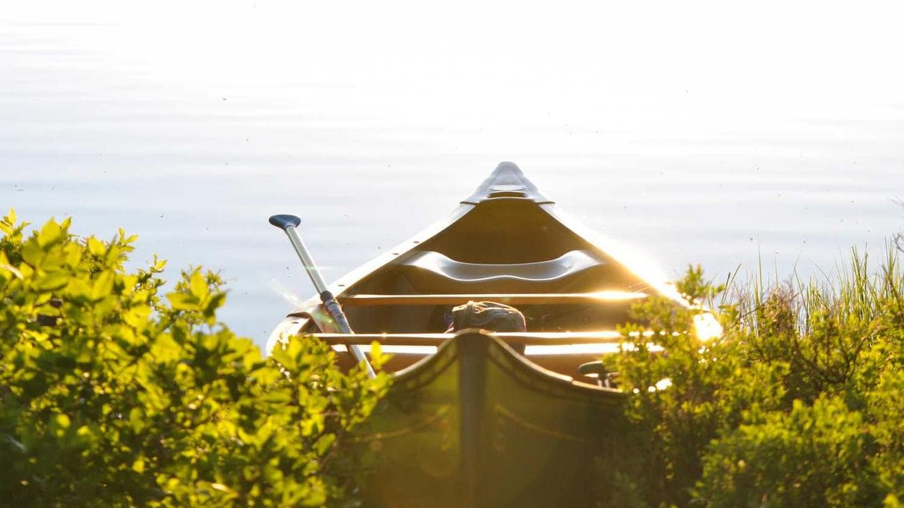 Bank CEO strategic AI transformation decision making