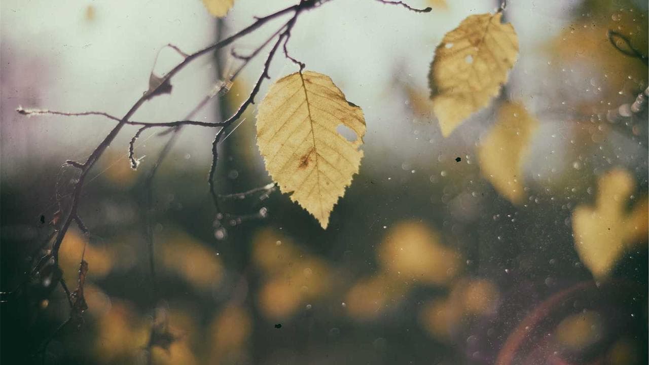 AI recruitment reducing time-to-hire while improving quality