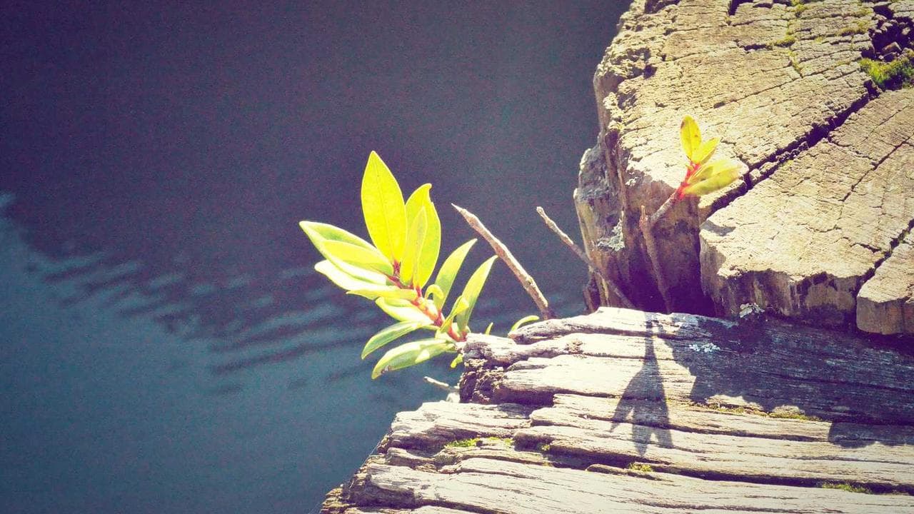 Enterprise HR digital transformation from paper resumes to AI talent intelligence