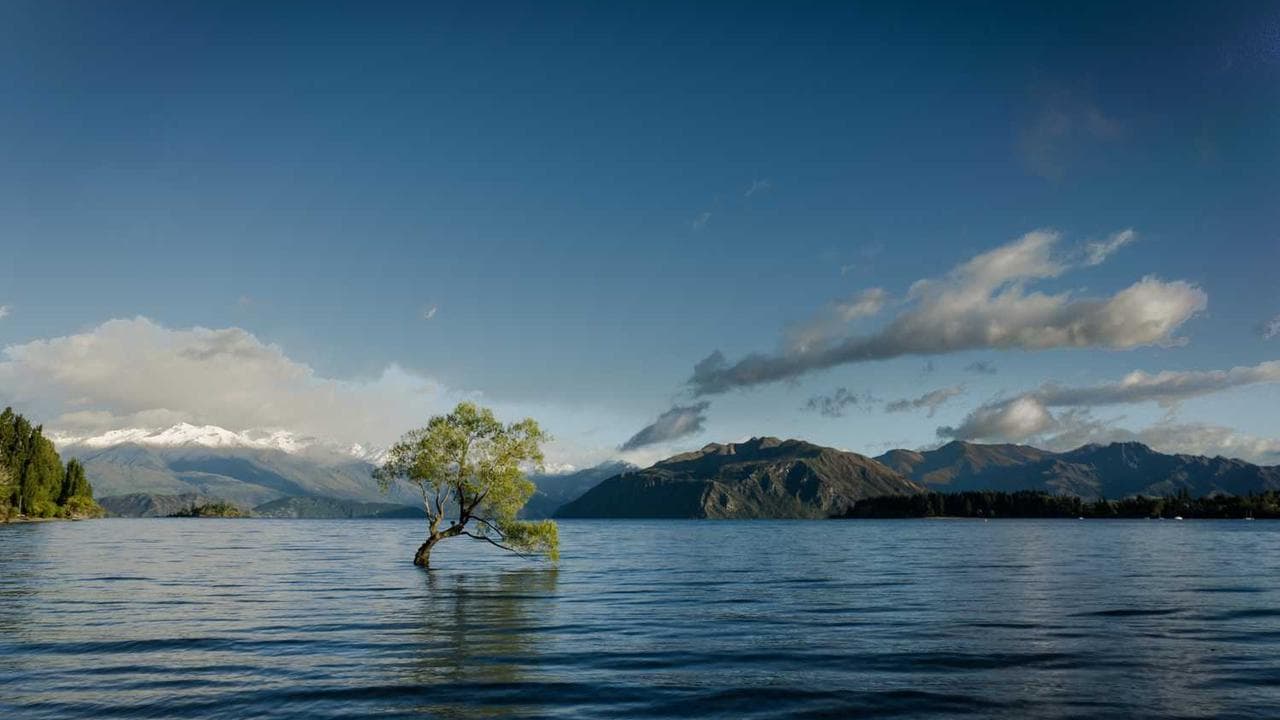 Modern insurance office with AI-powered claims processing dashboard